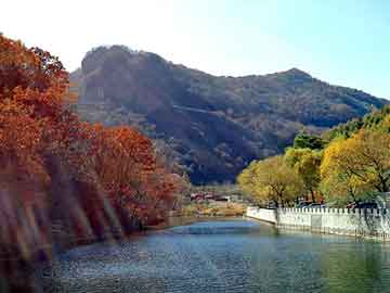 新澳天天开奖资料大全旅游团，山野诡事